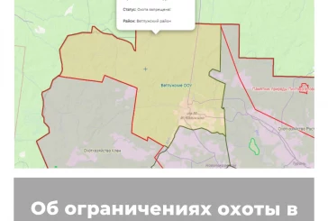 Об ограничениях охоты в Нижегородской области