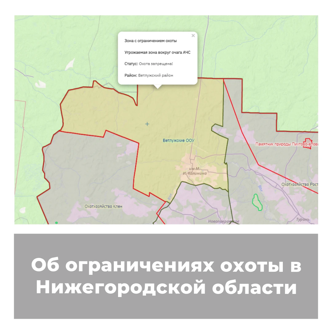 Об ограничениях охоты в Нижегородской области