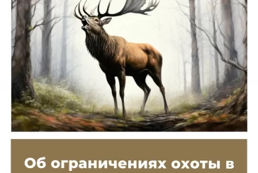 Об ограничениях охоты в Республике Бурятия
