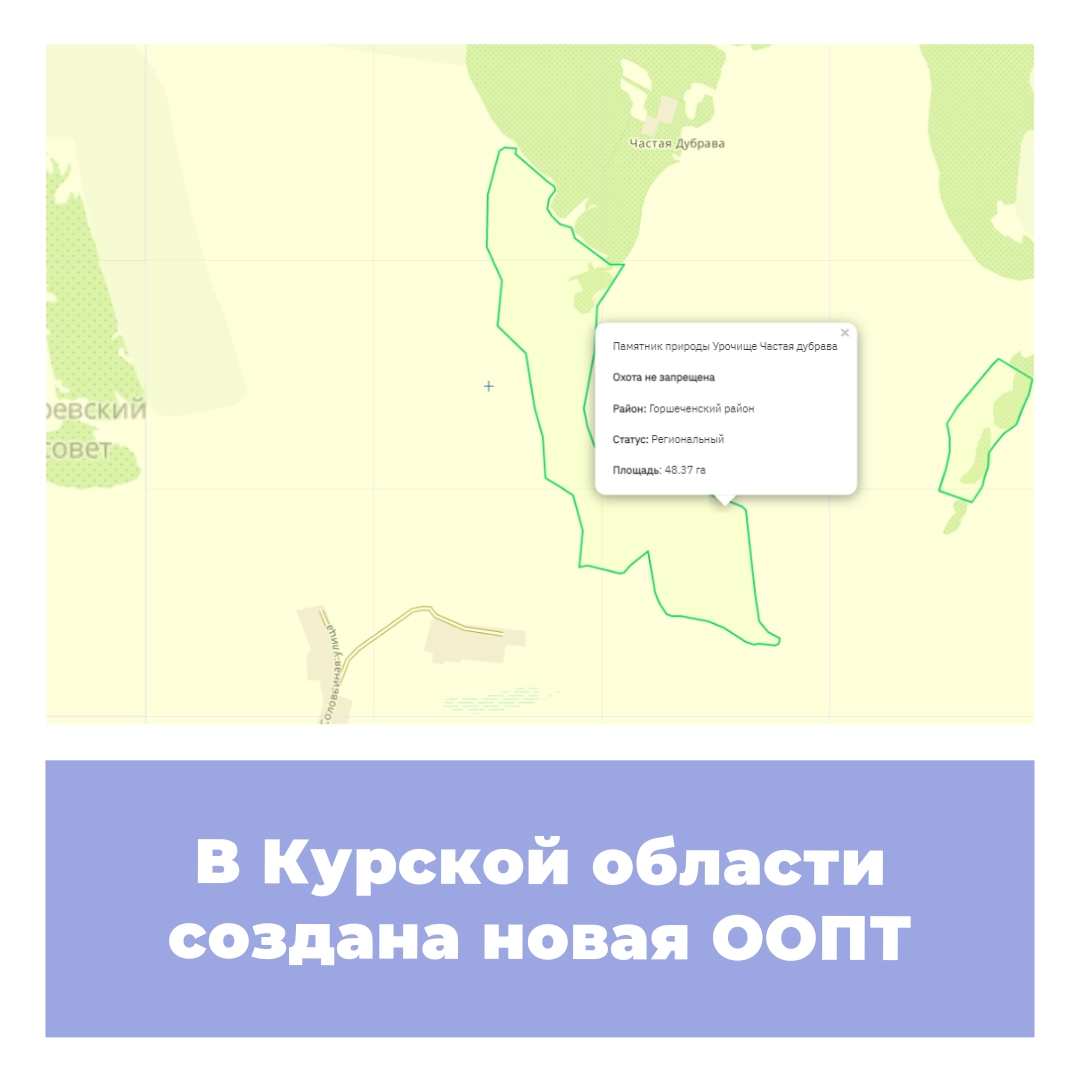 В Курской области создана новая ООПТ