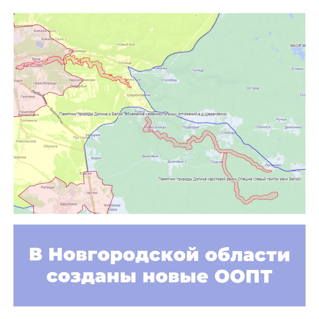 В Новгородской области созданы новые ООПТ