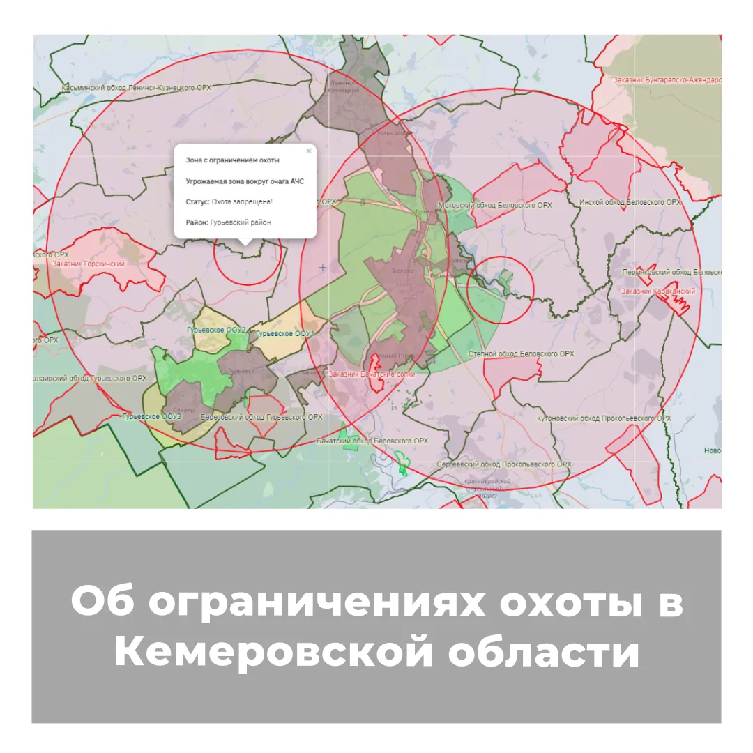 Об ограничениях охоты в Кемеровской области