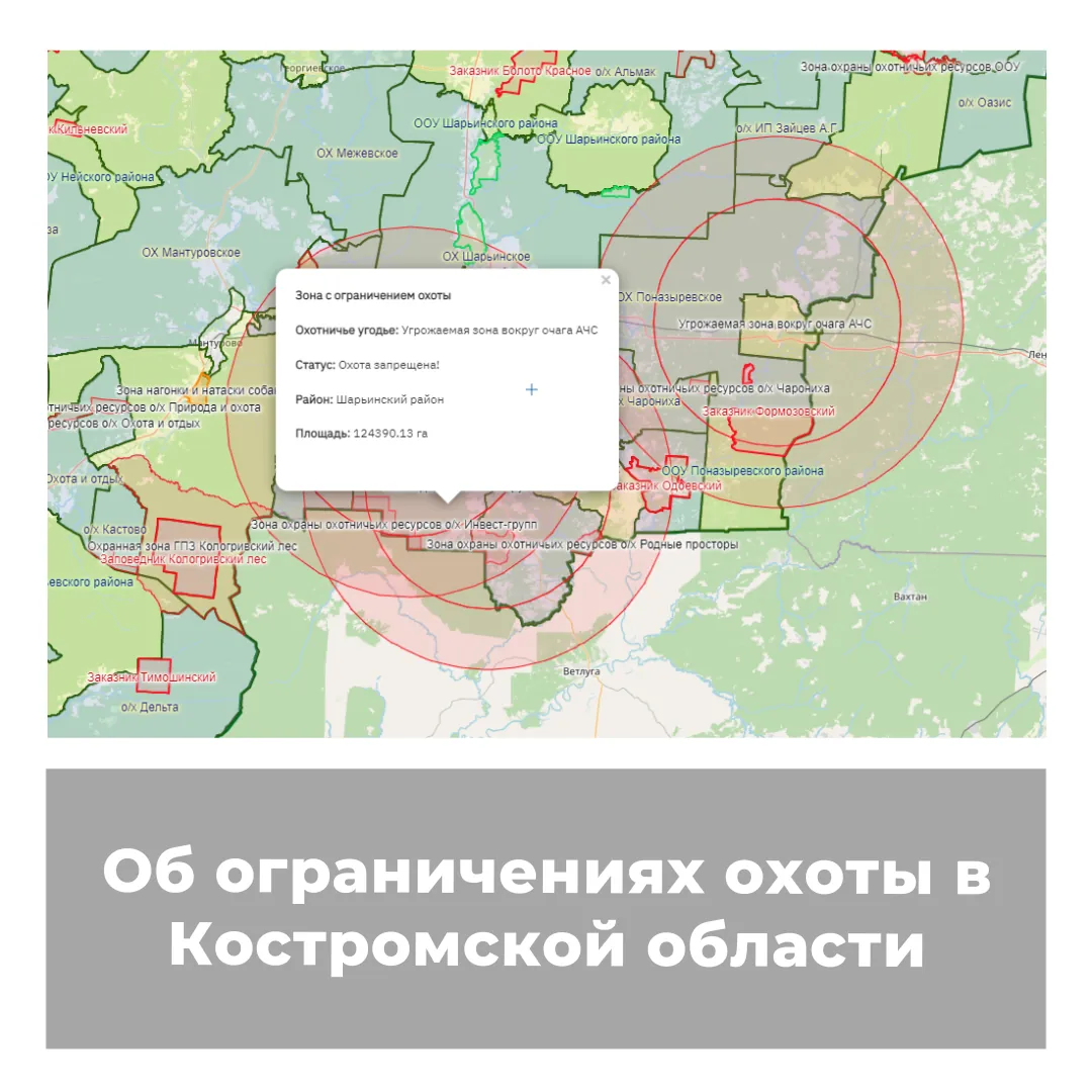 Об ограничениях охоты в Костромской области