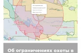 Об ограничениях охоты в Краснодарском крае