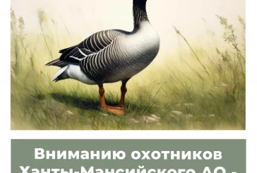 Вниманию охотников Ханты-Мансийского автономного округа – Югры