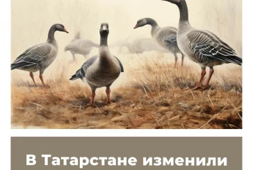 В Татарстане изменили сроки весенней охоты