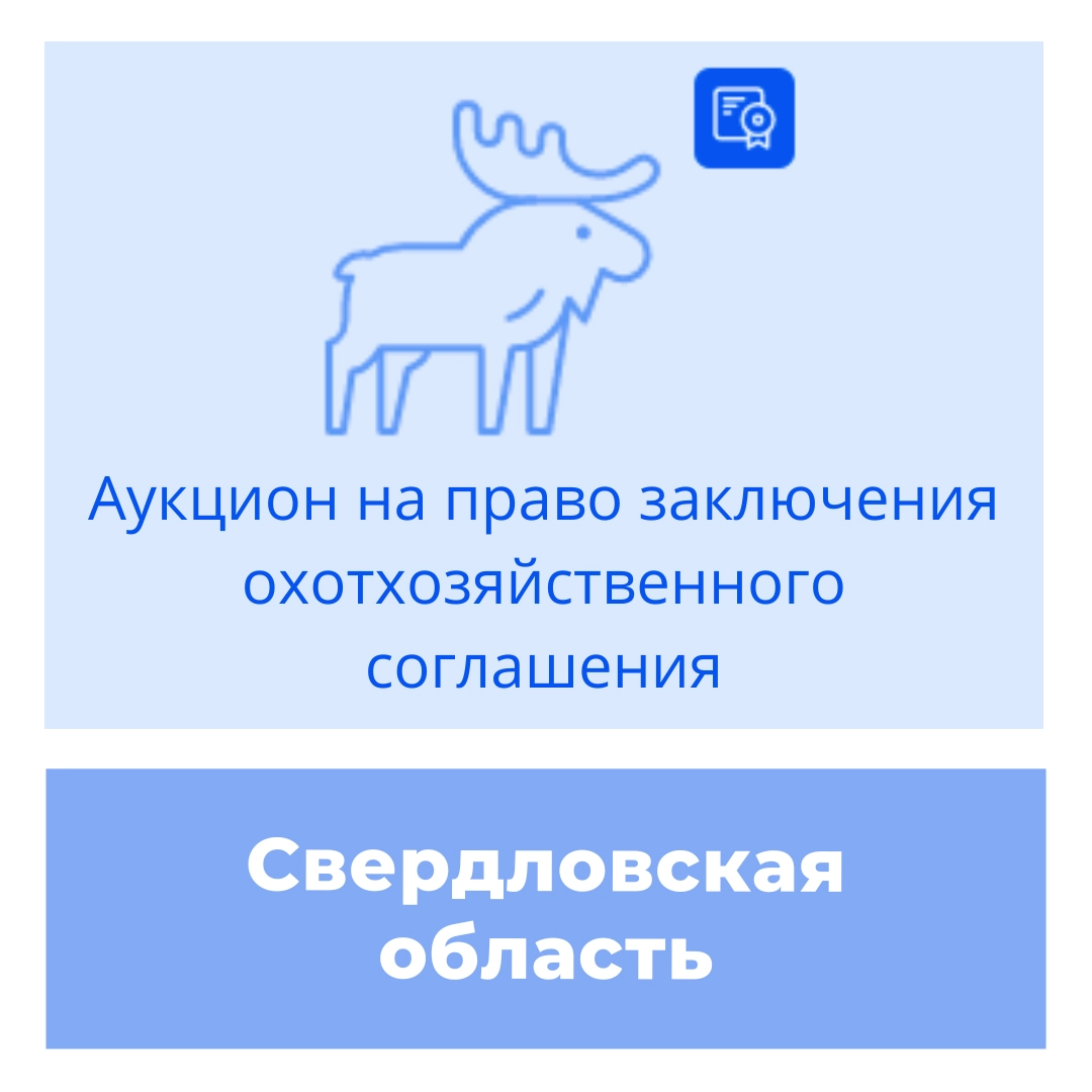 Торги на право заключения охотхозяйственных соглашений в Свердловской области