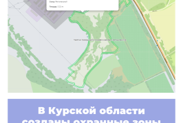 В Курской области созданы охранные зоны памятников природы