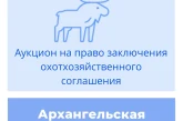 Торги на право заключения охотхозяйственного соглашения в Архангельской области