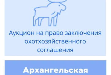 Торги на право заключения охотхозяйственного соглашения в Архангельской области