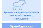 Торги на право заключения охотхозяйственных соглашений в Оренбургской области