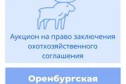 Торги на право заключения охотхозяйственных соглашений в Оренбургской области