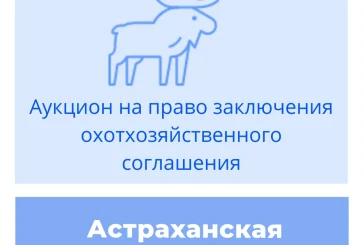 Торги на право заключения охотхозяйственного соглашения в Астраханской области