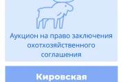 Торги на право заключения охотхозяйственного соглашения в Кировской области