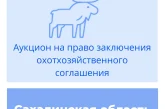 Торги на право заключения охотхозяйственного соглашения в Сахалинской области