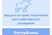 Торги на право заключения охотхозяйственных соглашений в Республике Коми