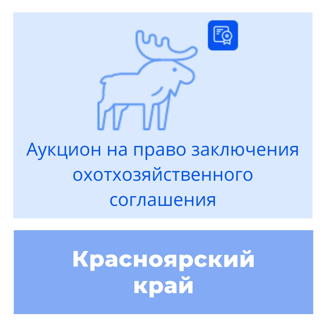 Торги на право заключения охотхозяйственного соглашения в Красноярском крае