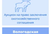 Торги на право заключения охотхозяйственного соглашения в Вологодской области