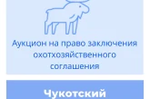 Торги на право заключения охотхозяйственного соглашения в Чукотском автономном округе