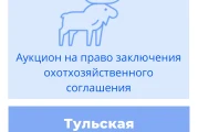 Торги на право заключения охотхозяйственного соглашения в Тульской области