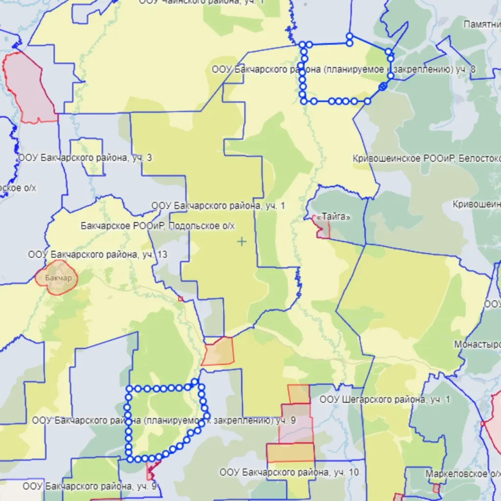 Участки к закреплению в Бакчарском районе