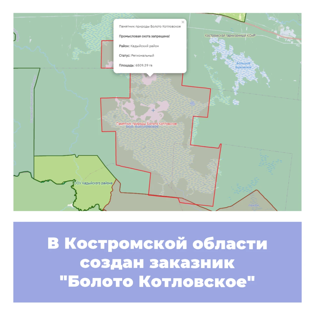 В Костромской области создан заказник «Болото Котловское»