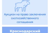 Торги на право заключения охотхозяйственных соглашений в Краснодарском крае