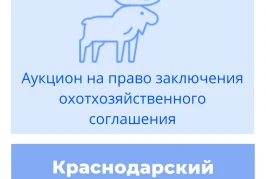 Торги на право заключения охотхозяйственных соглашений в Краснодарском крае