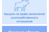 Торги на право заключения охотхозяйственных соглашений в отношении в Томской области