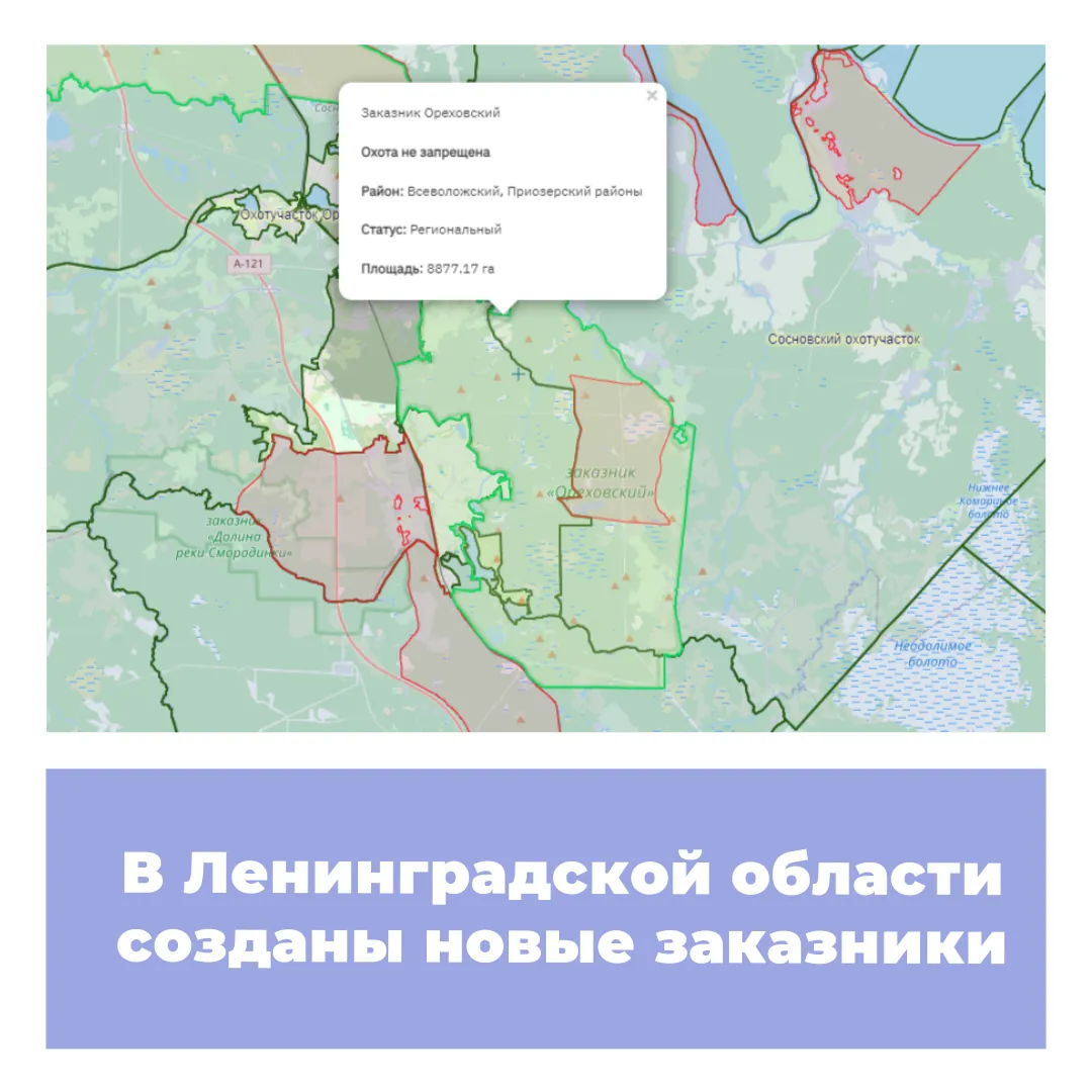 В Ленинградской области созданы новые заказники