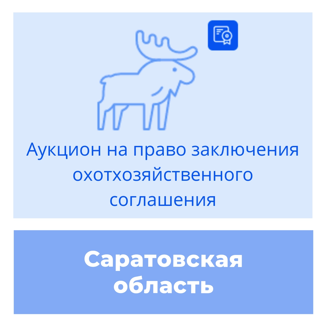 Торги на право заключения охотхозяйственных соглашений в Саратовской области