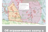 Об ограничениях охоты в Калининградской области