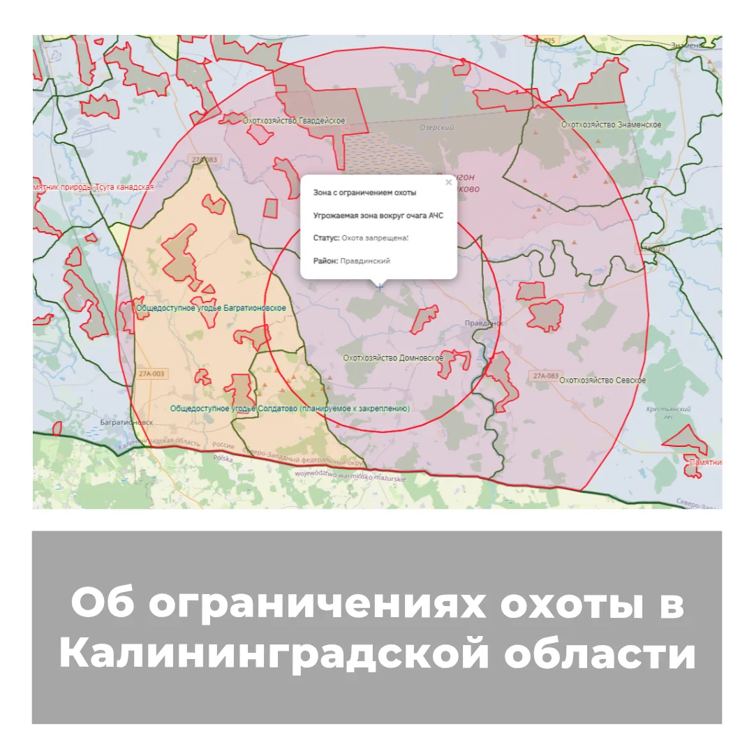 Об ограничениях охоты в Калининградской области