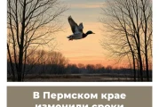 В Пермском крае изменили сроки охоты