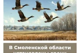В Смоленской области установлены сроки весенней охоты