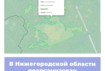 В Нижегородской области реорганизован памятник природы