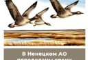 В Ненецком АО определены сроки весенней охоты