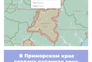 В Приморском крае создана охранная зона национального парка «Зов тигра»