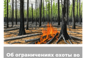 Об ограничениях охоты во Владимирской области
