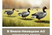 В Ямало-Ненцком АО изменили сроки весенней охоты