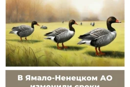 В Ямало-Ненцком АО изменили сроки весенней охоты