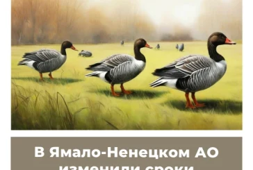 В Ямало-Ненцком АО изменили сроки весенней охоты