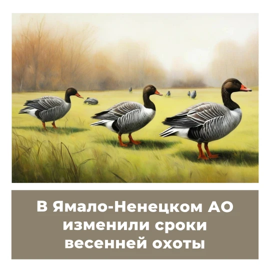 В Ямало-Ненцком АО изменили сроки весенней охоты