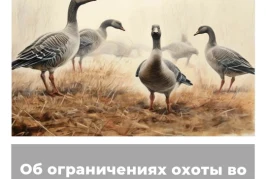 Об ограничениях охоты в Курганской области