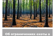 Об ограничениях охоты в Забайкальском крае