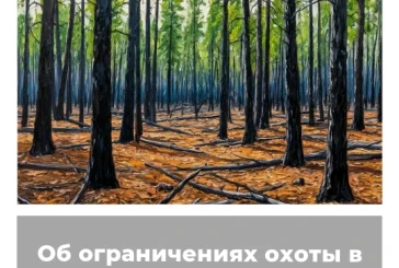 Об ограничениях охоты в Забайкальском крае
