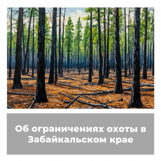 Об ограничениях охоты в Забайкальском крае