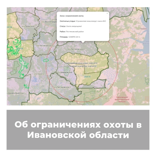 Об ограничениях охоты в Ивановской области