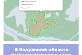 В Калужской области созданы охранные зоны памятников природы