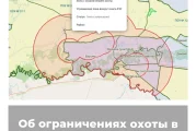 Об ограничениях охоты в Оренбургской области
